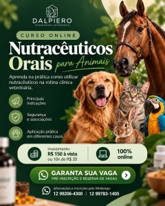 Curso online